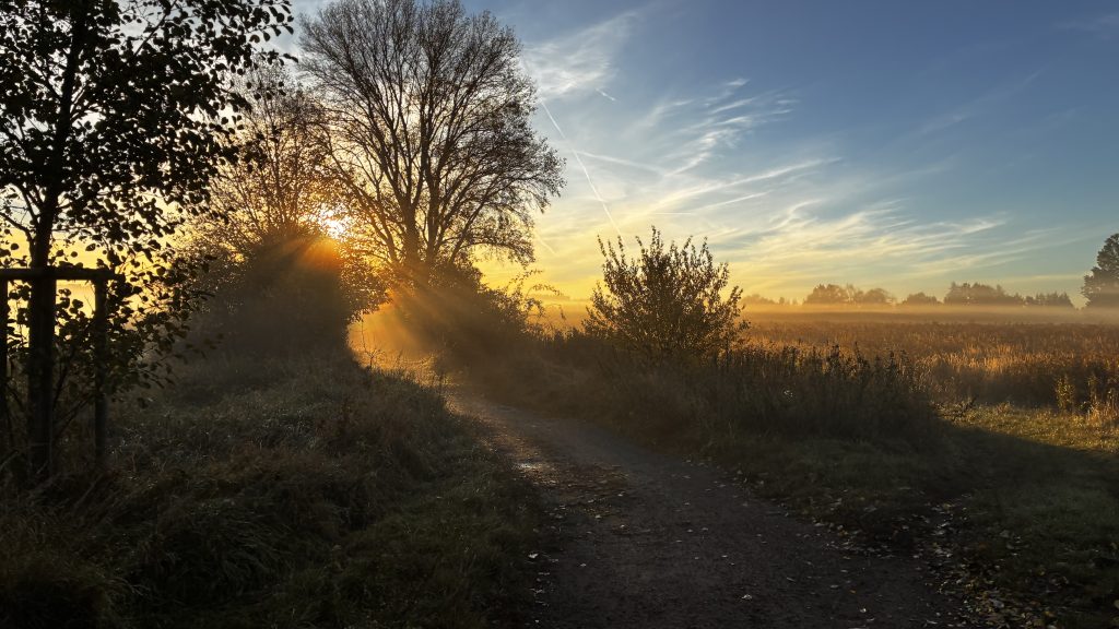 Zielony Klin Wojszycki – tereny zielone w okolicy inwestycji